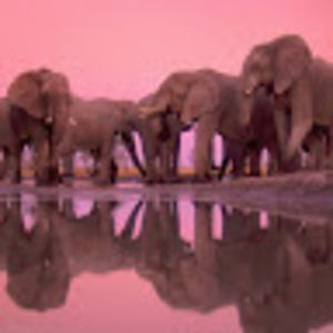 Meet your Posher, Joshua